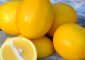 Top 20 Delicious Meyer Lemon Recipes