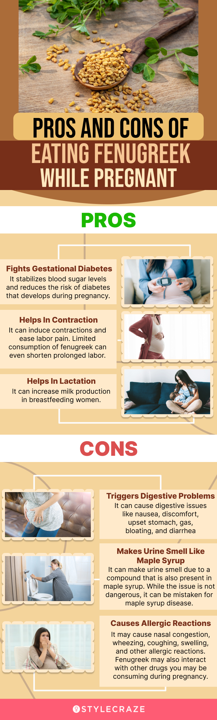 pros and cons of eating fenugreek while pregnant (infographic)
