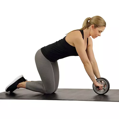 Sunny Health & Fitness Ab Roller Wheel