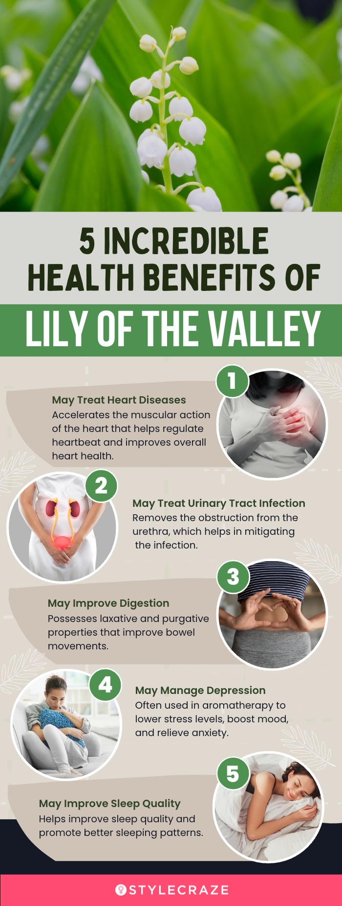 5 incredible health benefits of lily of the valley (infographic)