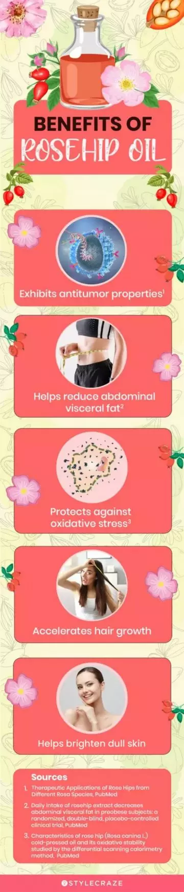 benefits of rosehip oil (infographic)