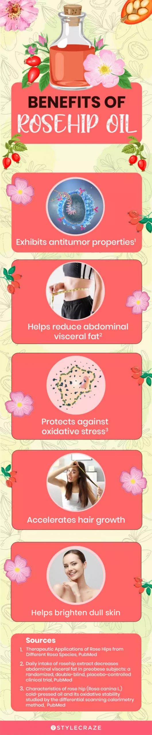 benefits of rosehip oil (infographic)