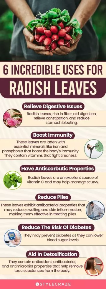  6 incredible uses for radish leaves (infographic)