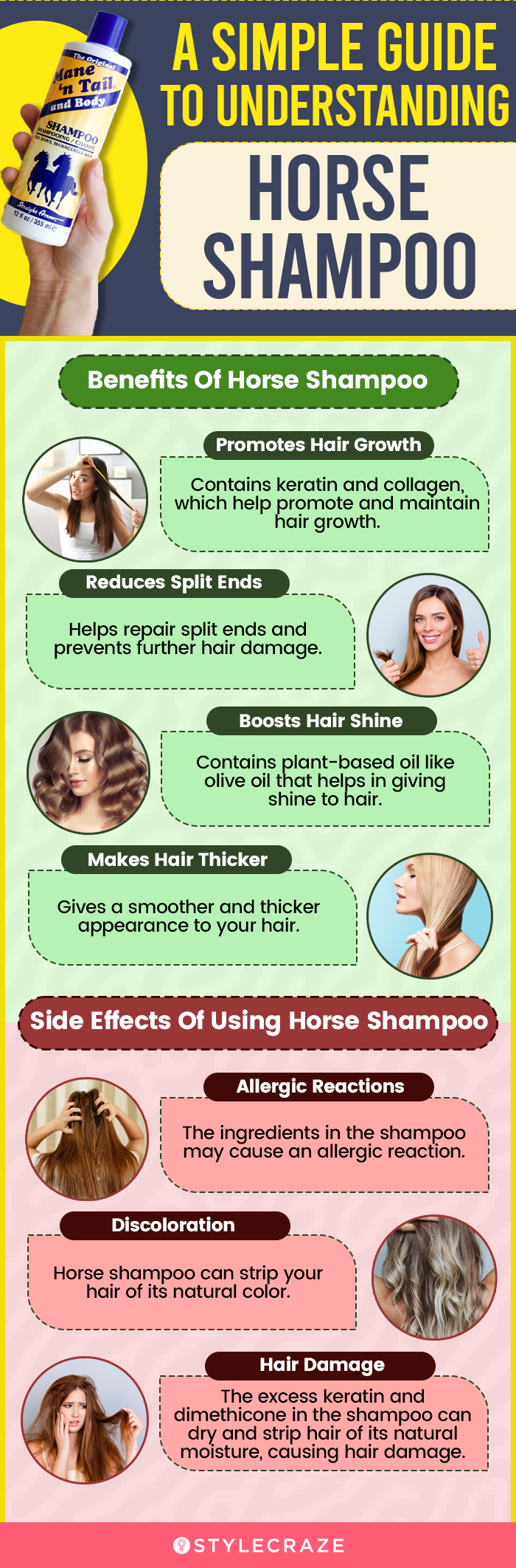 a simple guide to understanding horse shampoo (infographic)