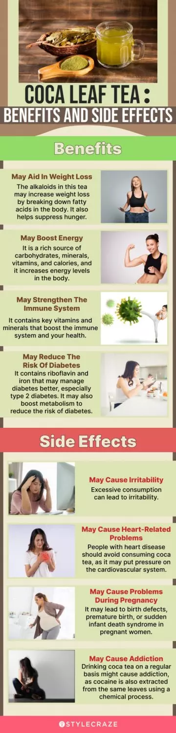 coca leaf tea benefits and side effects (infographic)