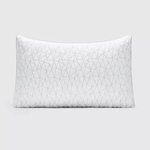 Coop Home Goods Eden Pillow Queen Size