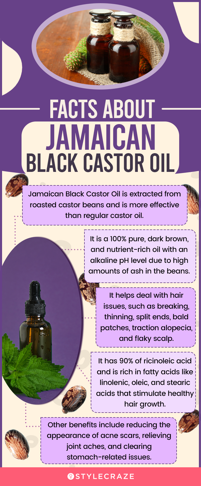 Facts About Jamaican Black Castor Oil (infographic)