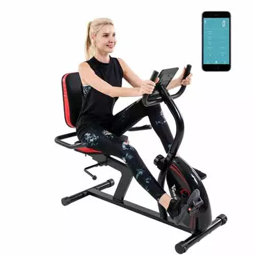 Vanswe Recumbent Exercise Bike