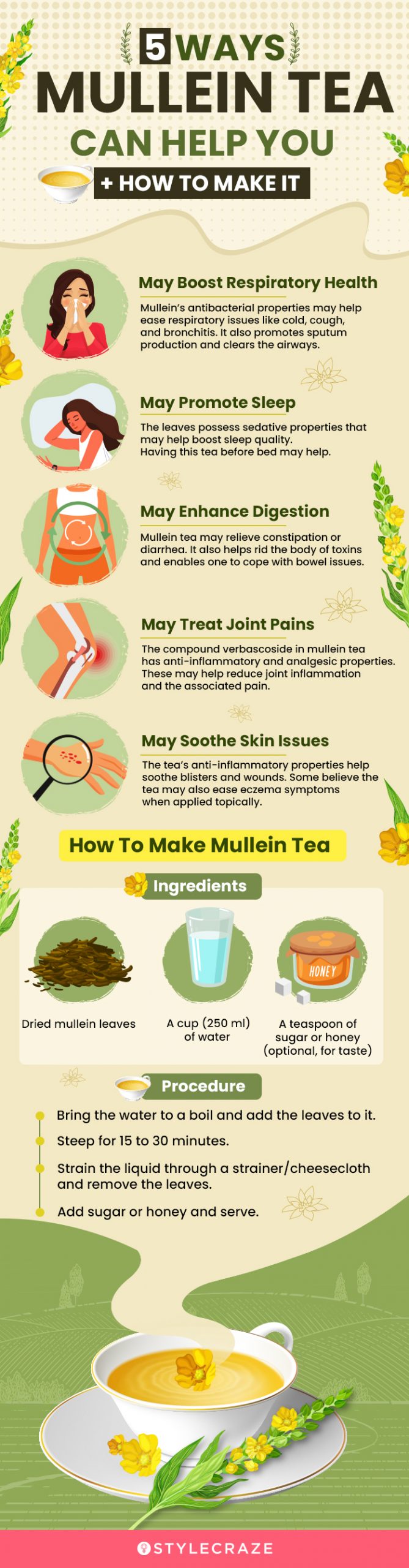 5 important mullein tea benefits how to make (infographic)