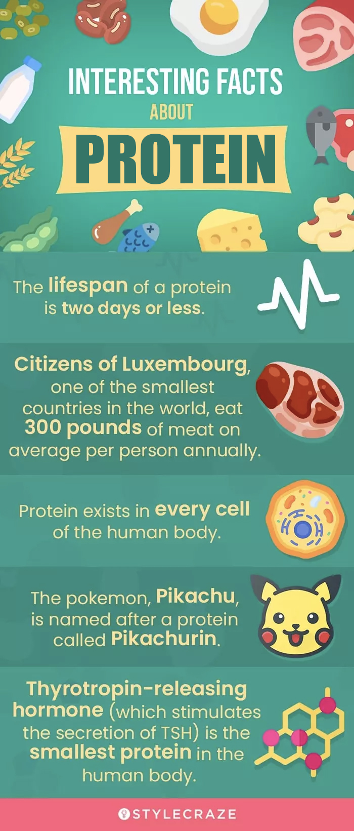 interesting facts about proteins (infographic)