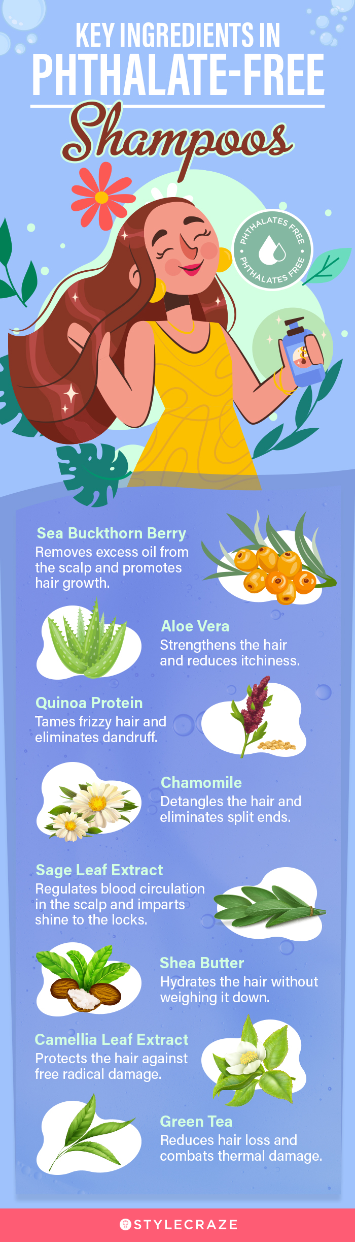 Key Ingredients In Phthalate-Free Shampoos (infographic)