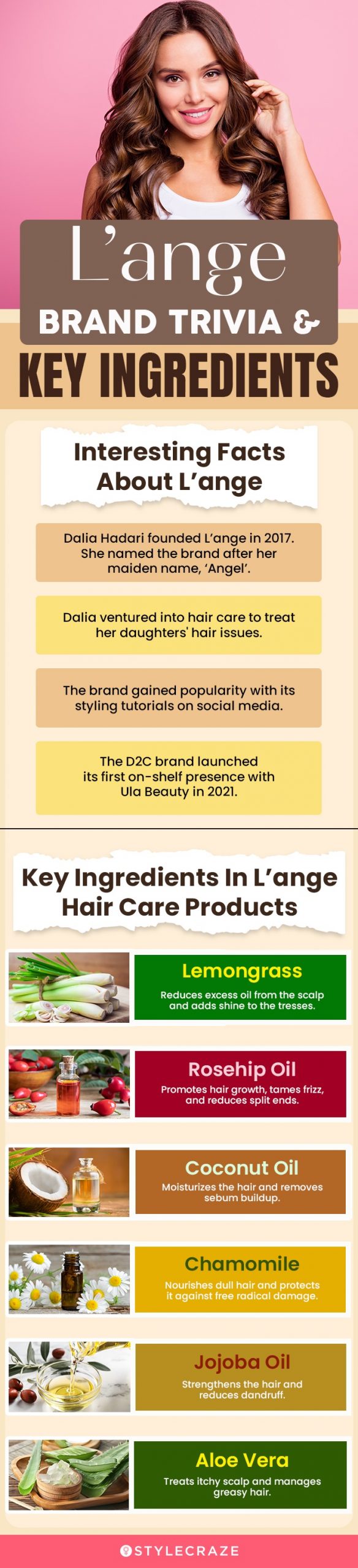 L’ange Brand Trivia & Key Ingredients (infographic)