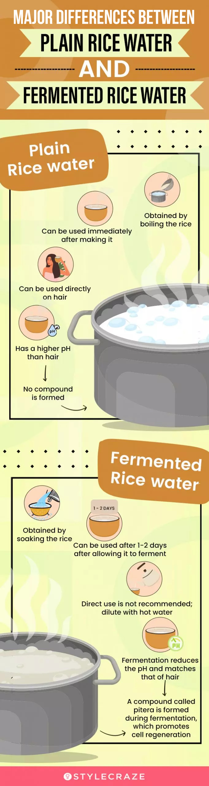 main difference between plain rice water and fermented rice water (infographic)
