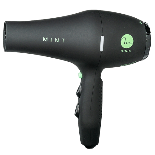 Mint BLACKBIRD Professional Ionic Hair Blow Dryer