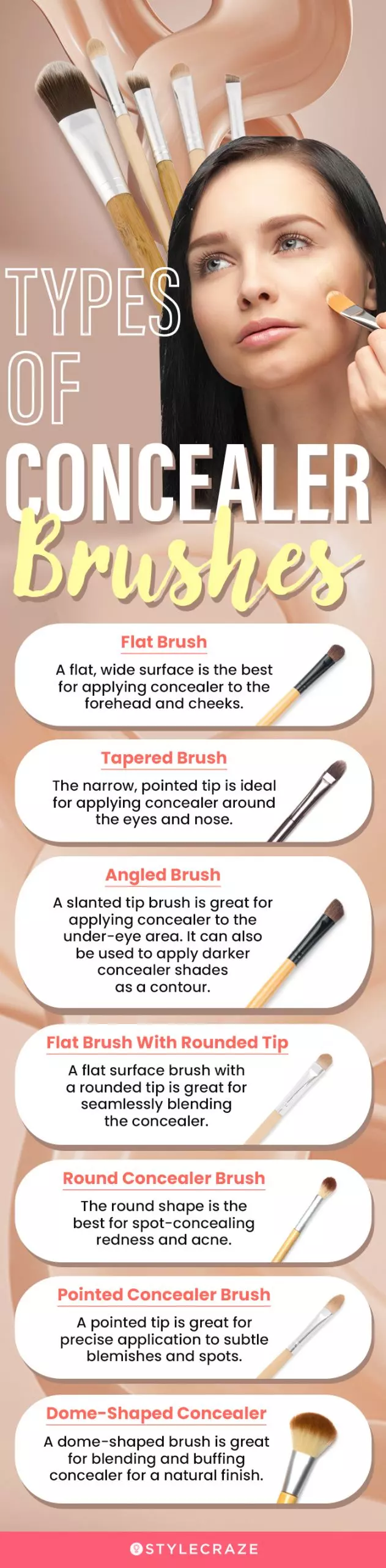 Different Types Of Concealer Brushes (infographic)