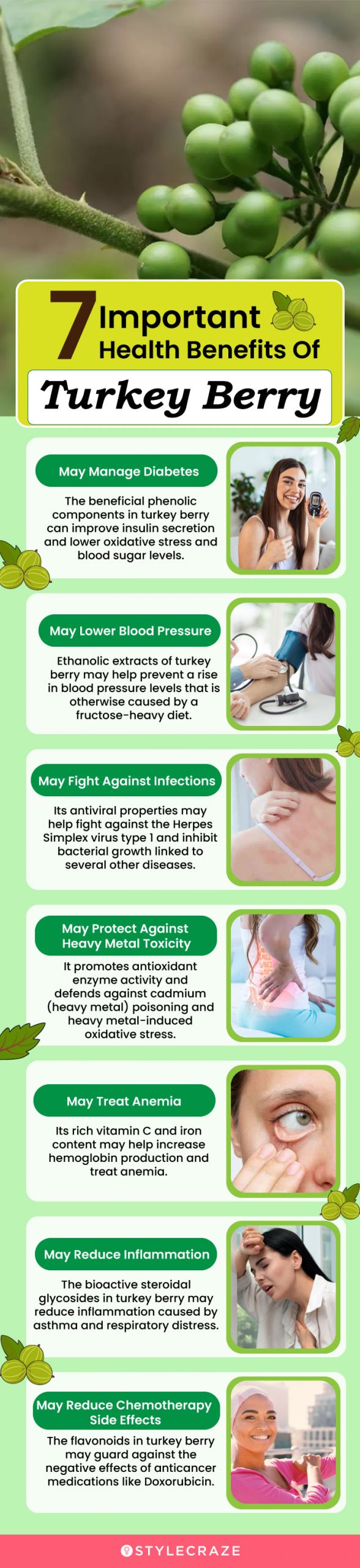 7 important health benefits of turkey berry (infographic)