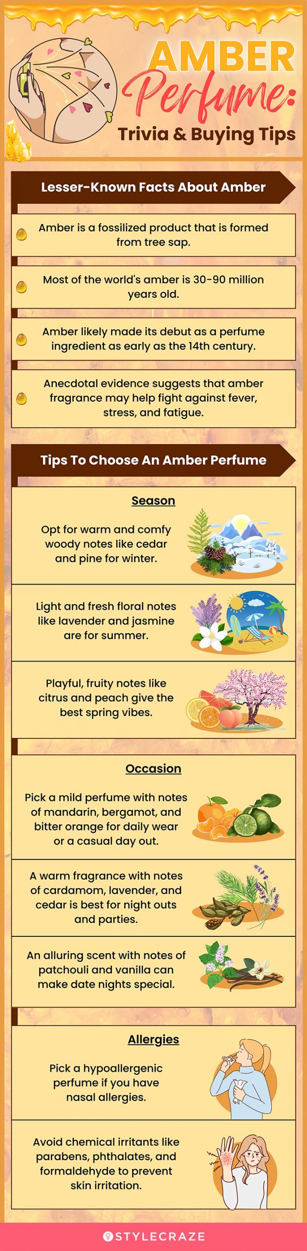 Amber Perfume: Trivia & Buying Tips (infographic)