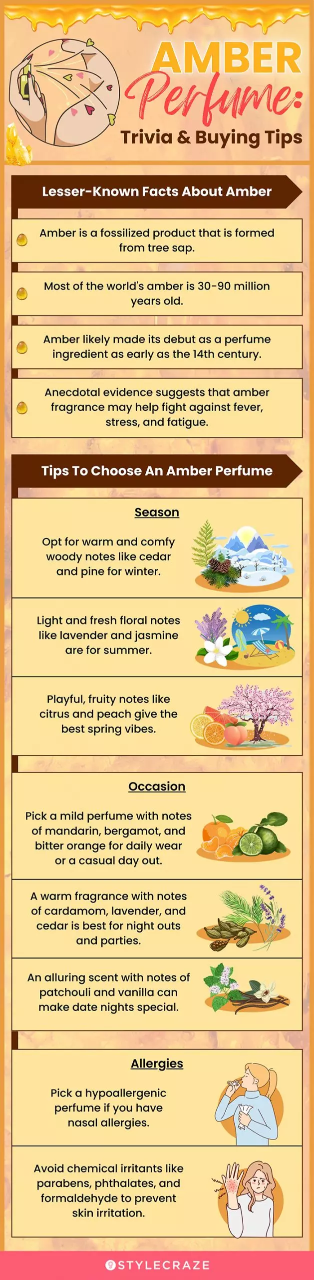 Amber Perfume: Trivia & Buying Tips (infographic)