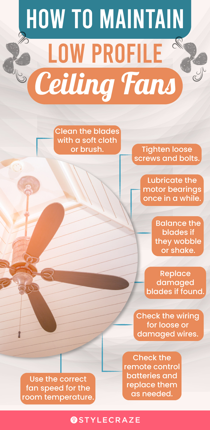 How To Maintain Low Profile Ceiling Fans (infographic)