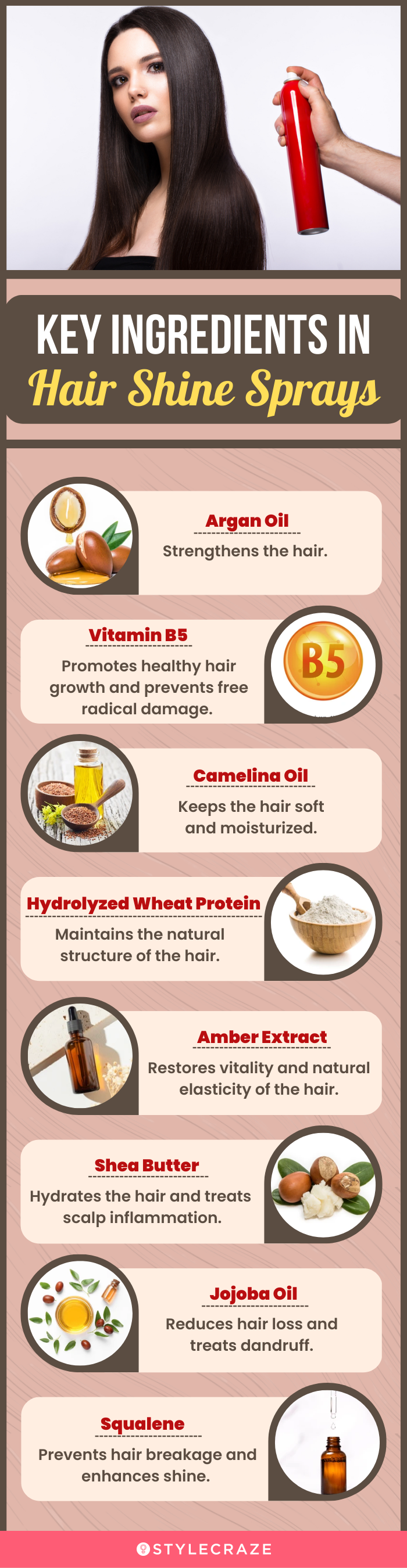 Key Ingredients In Hair Shine Sprays (infographic)
