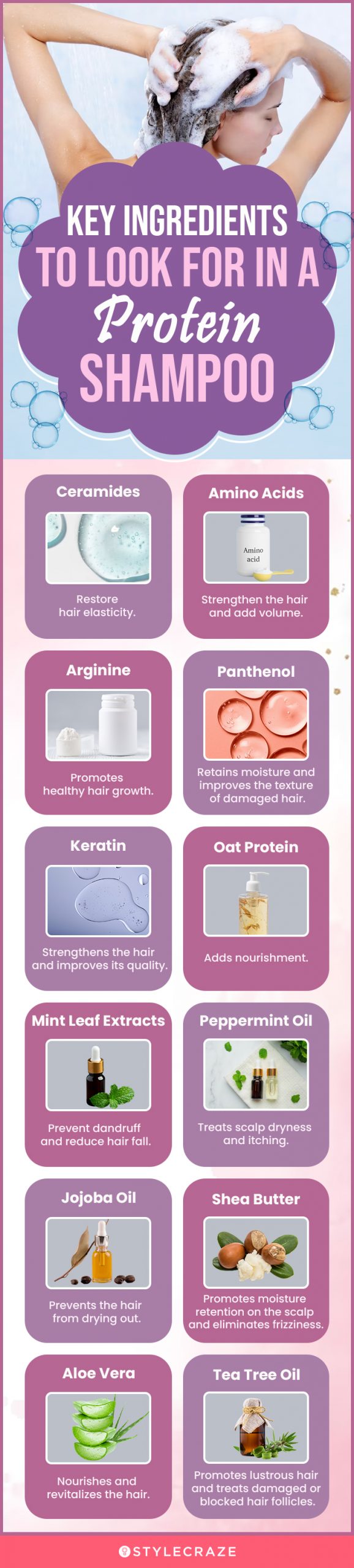 Key Ingredients To Look For In A Protein Shampoo (infographic)