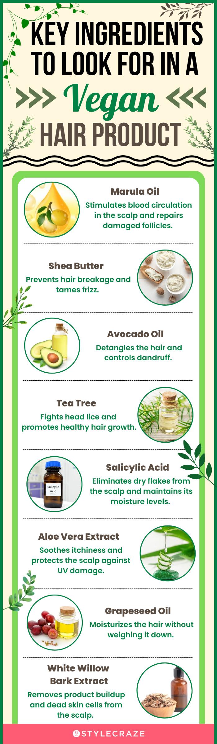Key Ingredients To Look For In A Vegan Hair Product (infographic)