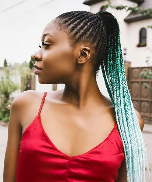 16 Ridiculously Cute Micro Braid Hairstyles for 2019 | All Things Hair US