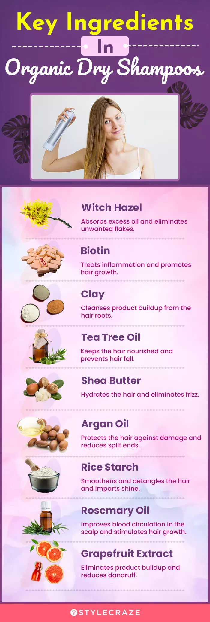 Key Ingredients In Organic Dry Shampoos (infographic)