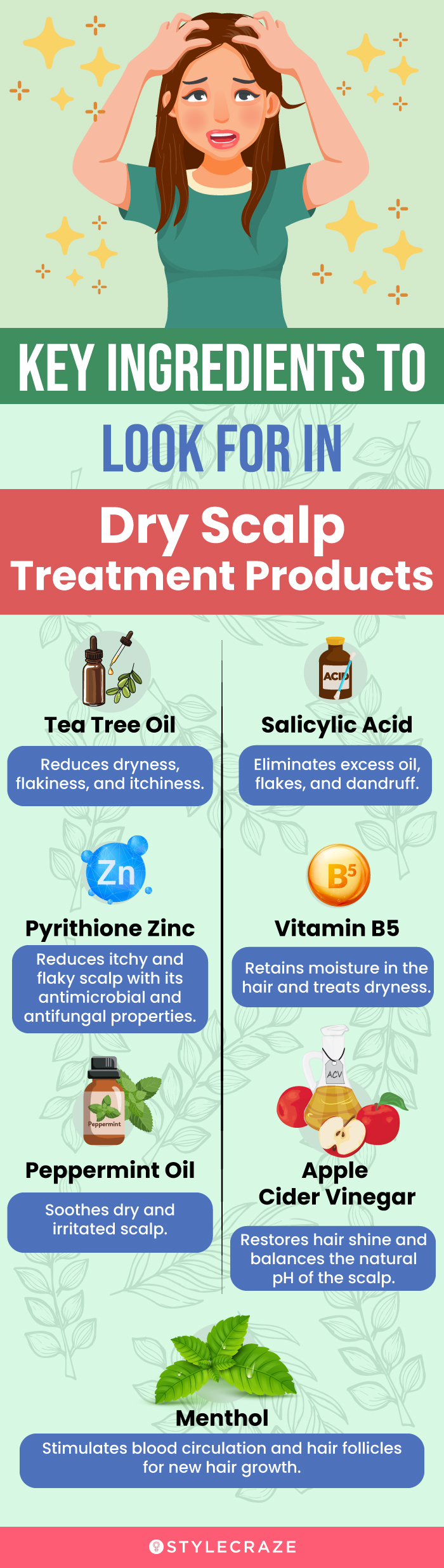 Key Ingredients To Look For In Dry Scalp Treatment Products (infographic)