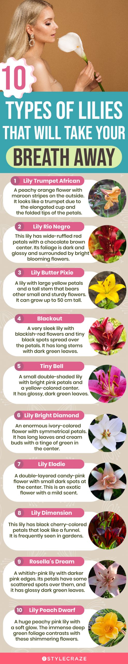 10 lilies that take your breath away (infographic)