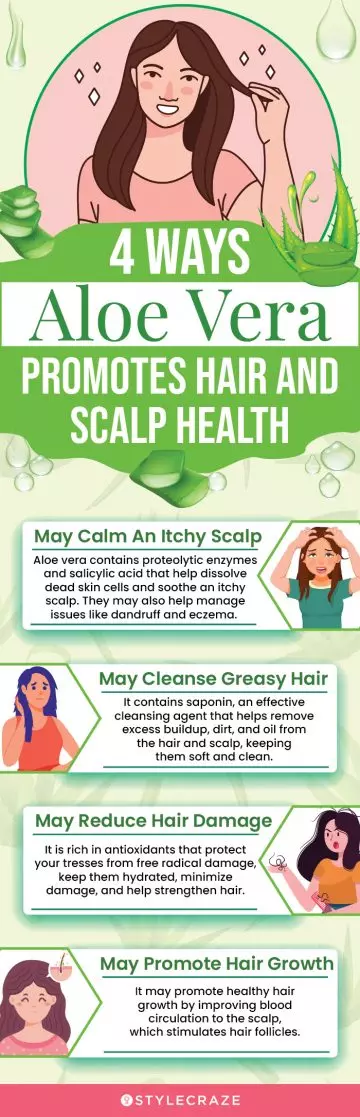 4 ways aloe vera promotes hair and scalp health (infographic)