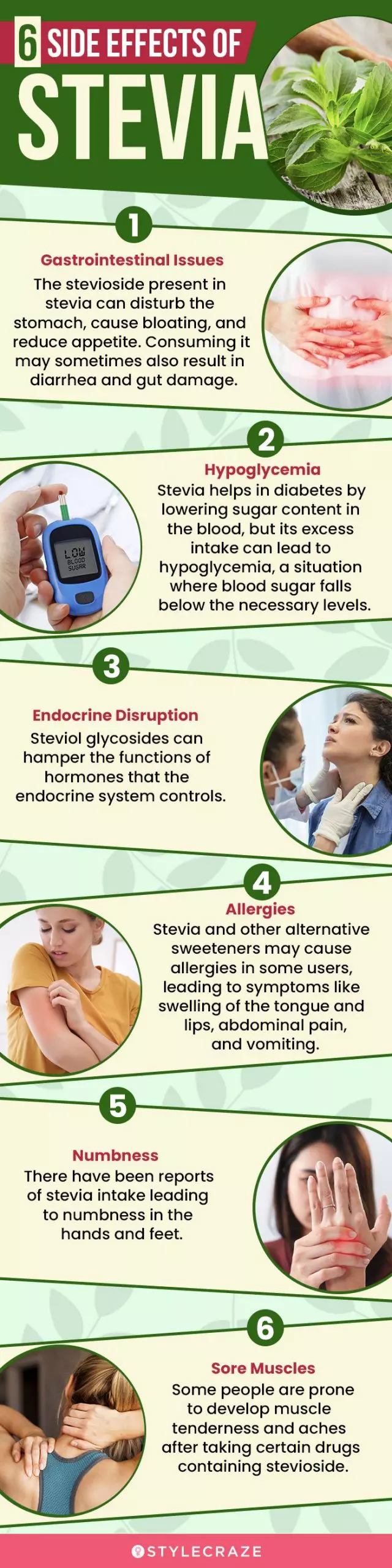 serious side effects of stevia (infographic)