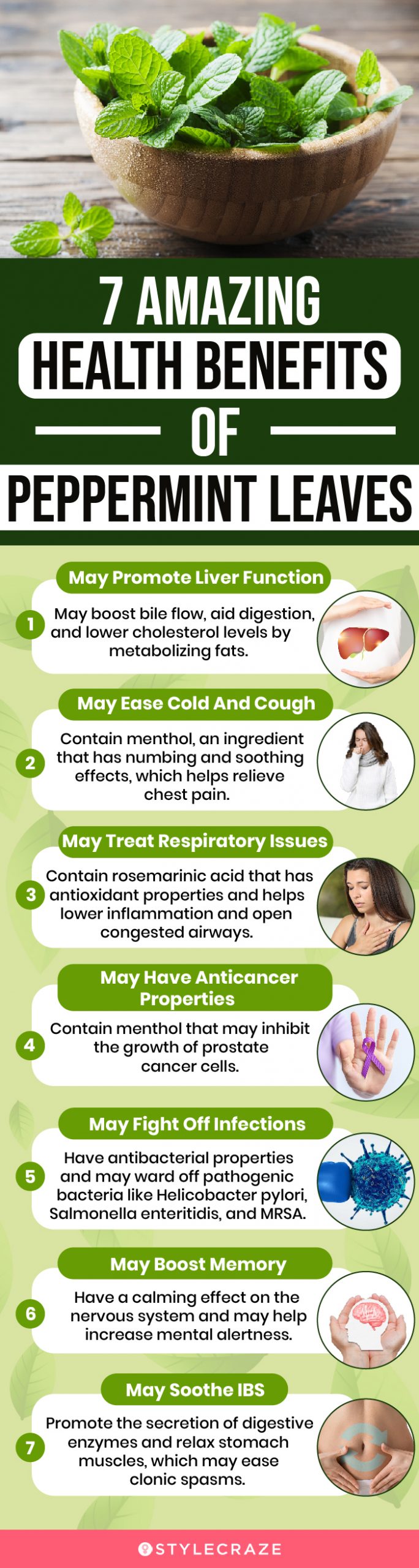 7 amazing health benefits of peppermint leaves (infographic)