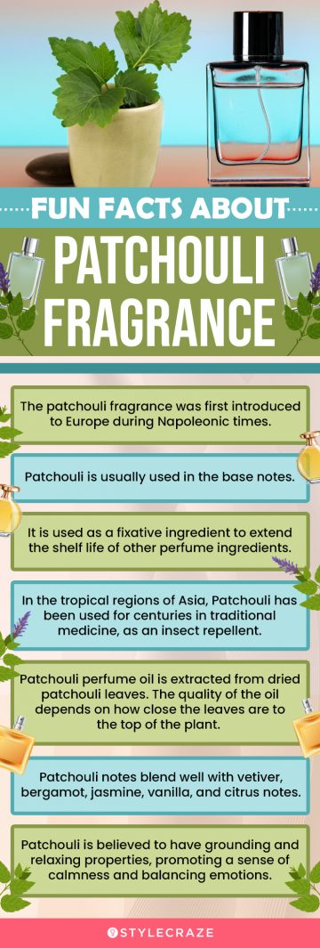 Fun Facts About Patchouli Fragrance (infographic)