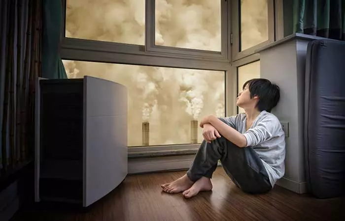 Indoor Air Pollution