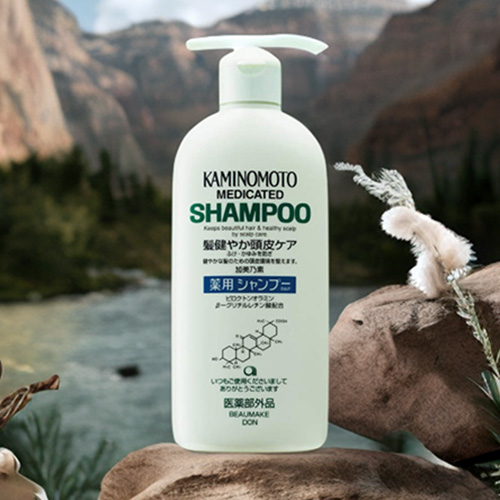 KAMINOMOTO Charge Shampoo B&P