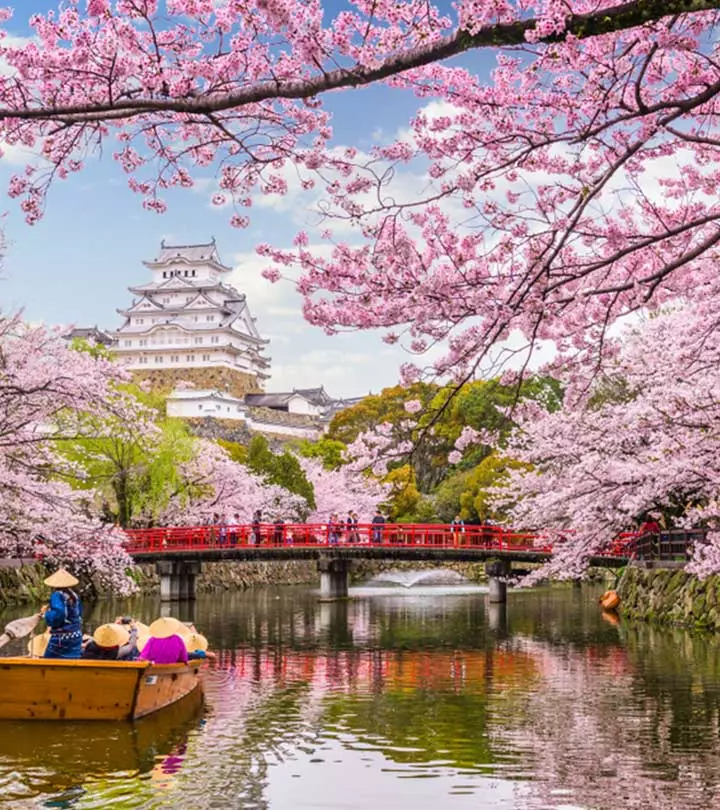 13 Enchanting Experiences You Won’t Want To Miss When Visiting Japan