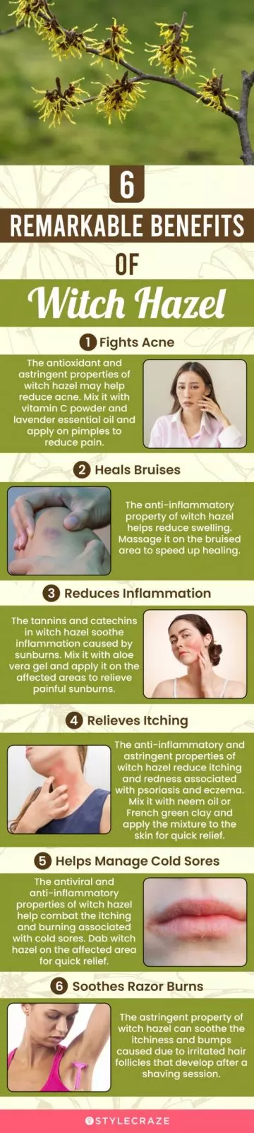 6 remarkable benefits of witch hazel (infographic)