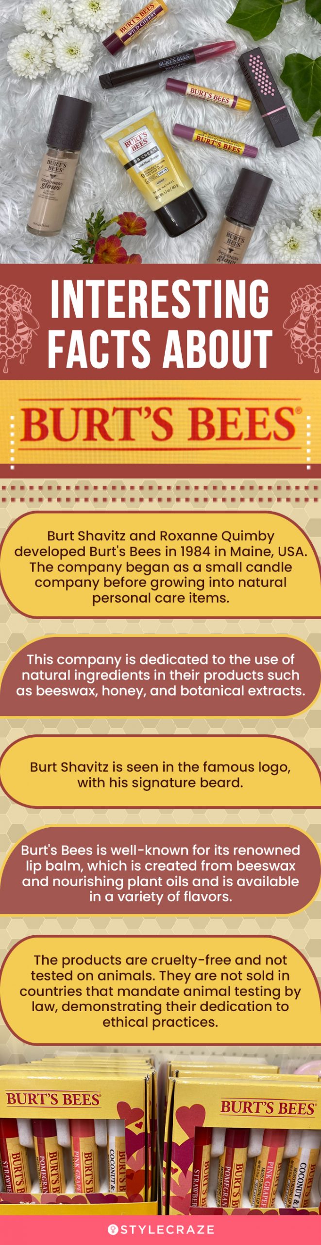 Interesting Facts About Burt’s Bees (infographic)