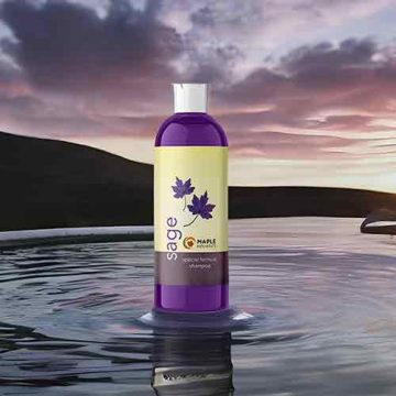 Maple Holistics Sage Shampoo – Best Overall
