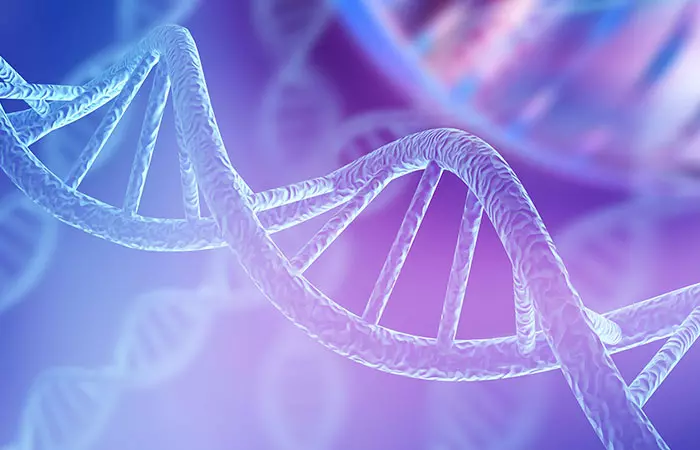 The Marvels Of The Human DNA