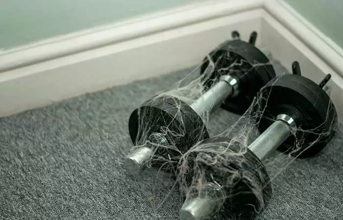 Unused Exercise Equipment