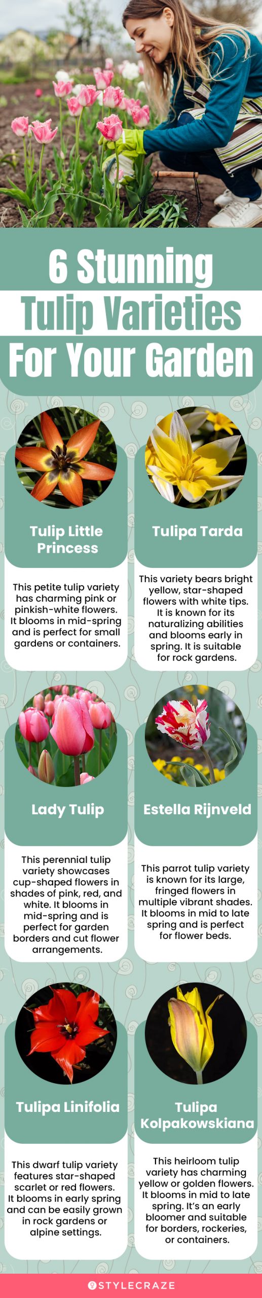 6 stunning tulip varieties for your garden (infographic)