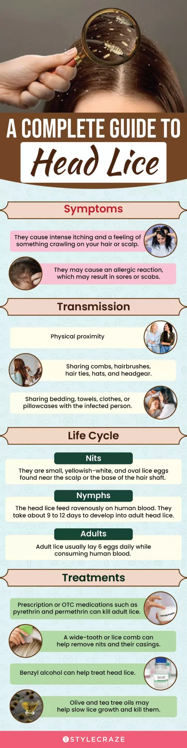 a complete guide to head lice (infographic)