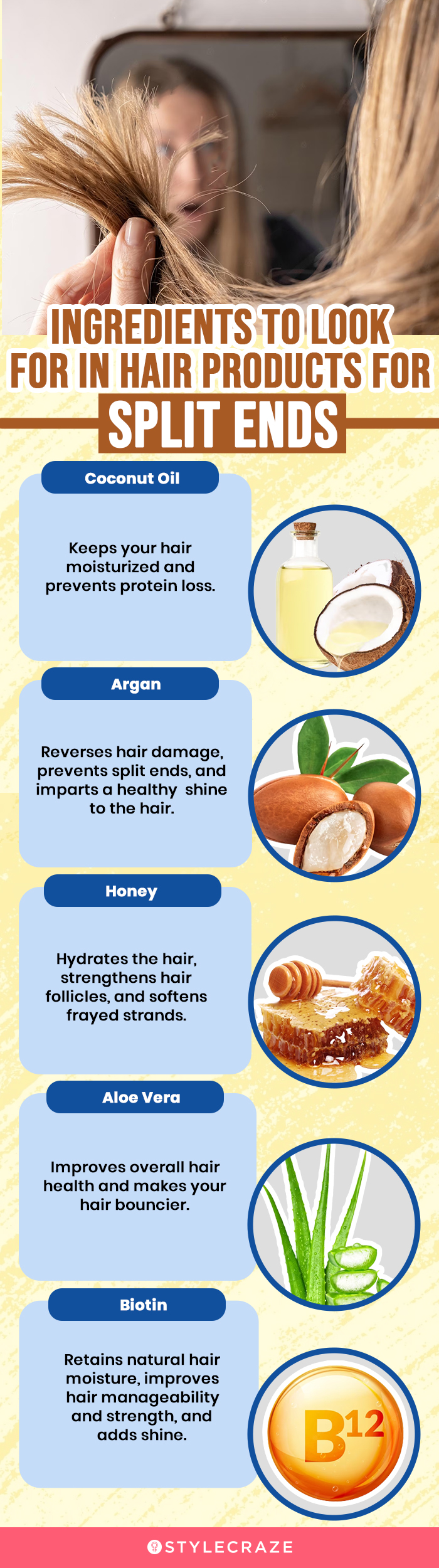 Ingredients To Look For To Repair Split Ends (infographic)