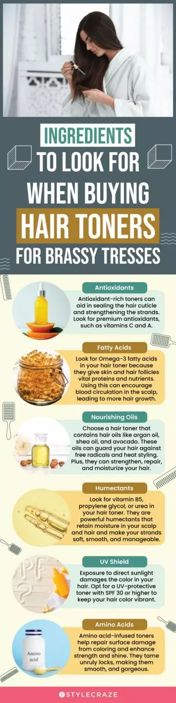 Ingredients to Look for When Buying Brassy Hair Toners (infographic)