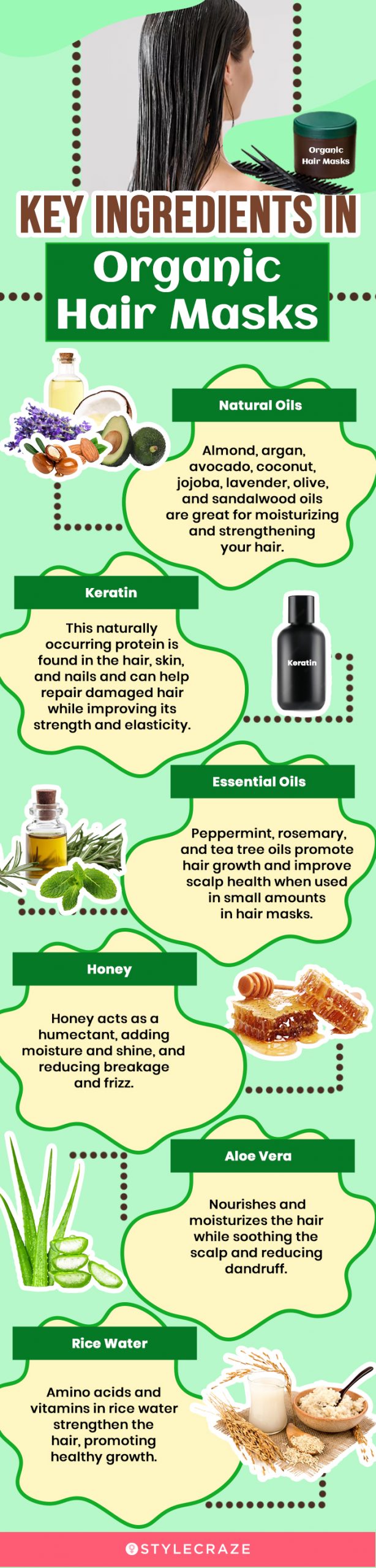Key Ingredients In Organic Hair Masks (infographic)