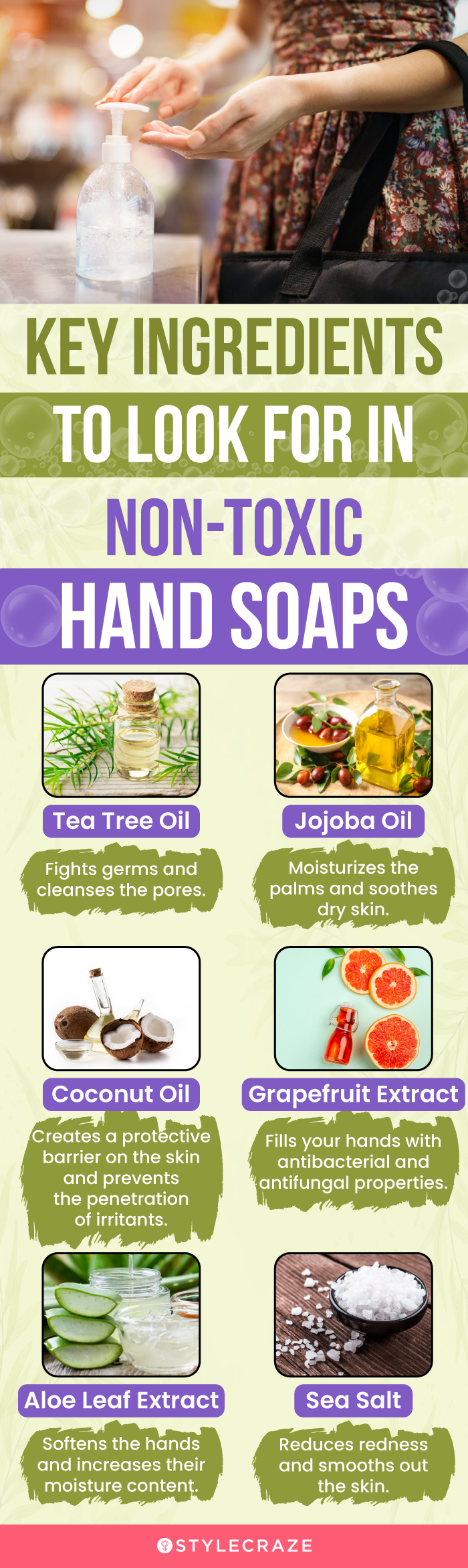 Key Ingredients To Look For In Non-Toxic Hand Soaps(infographic)