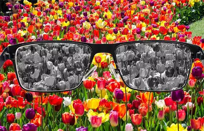 Total-Color-Blindness