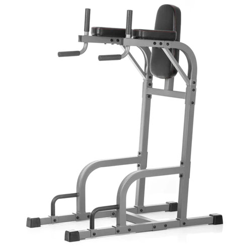 XMark Vertical Knee Raise with Dip Station